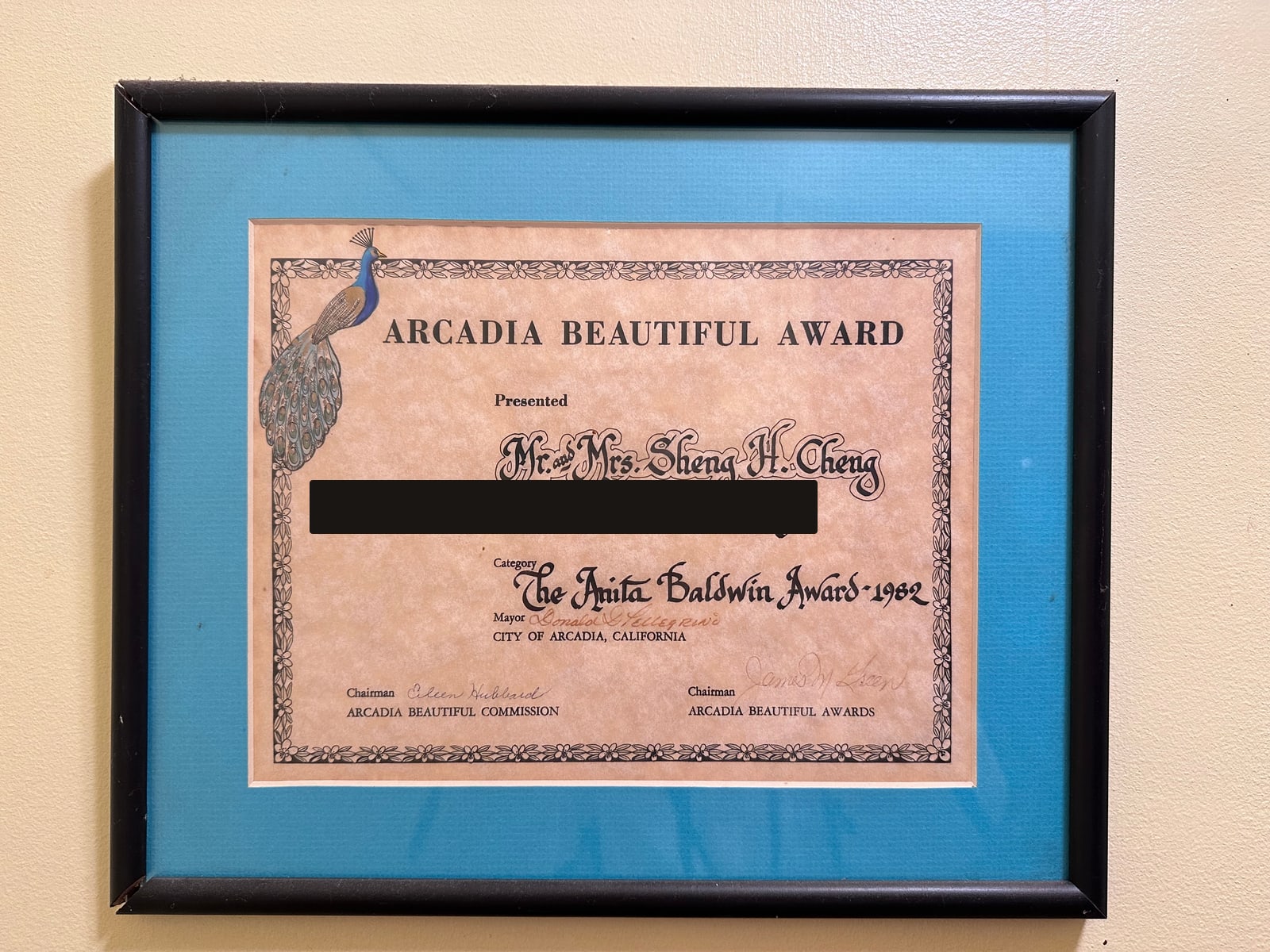 Arcadia Beautiful Award — the Anita Baldwin Award, 1982