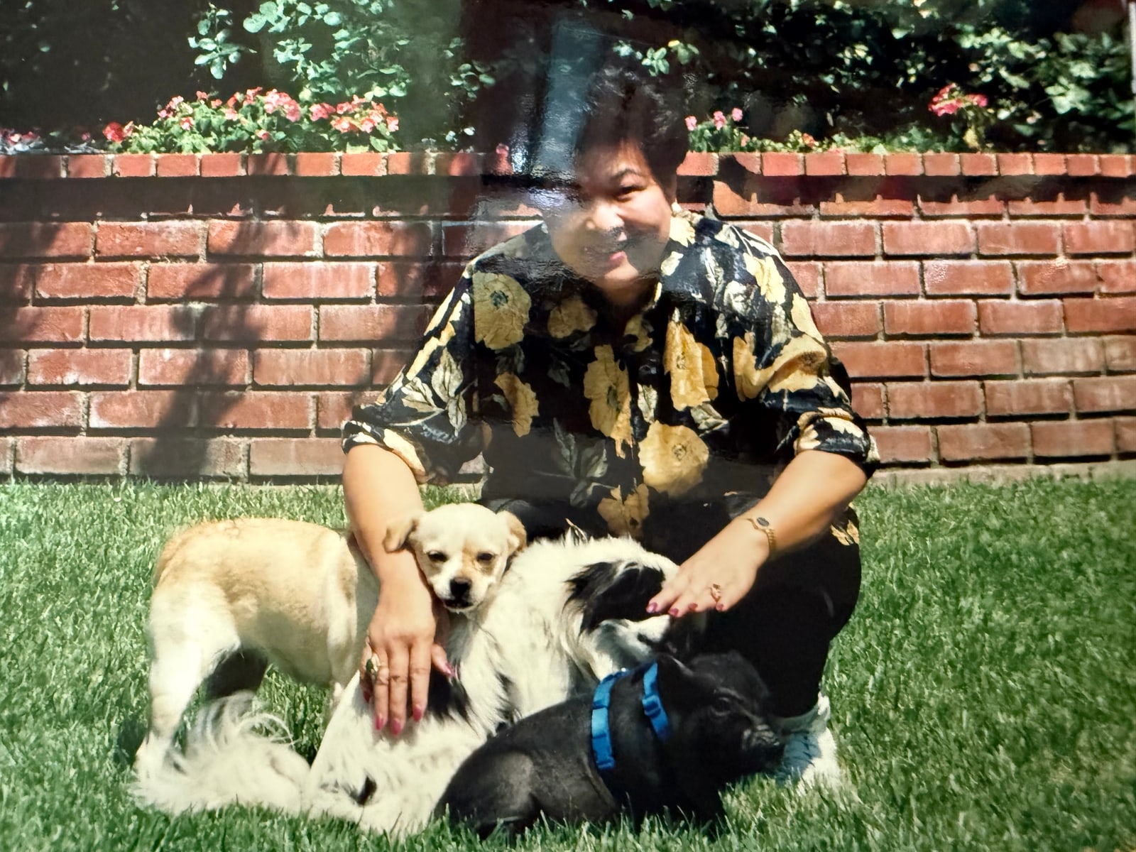 With three dogs