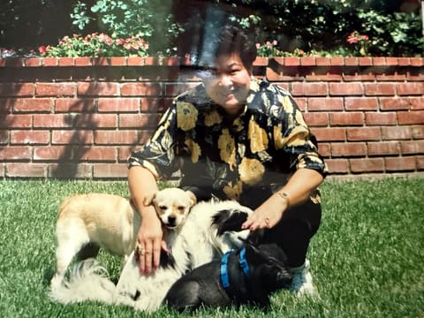 With three dogs