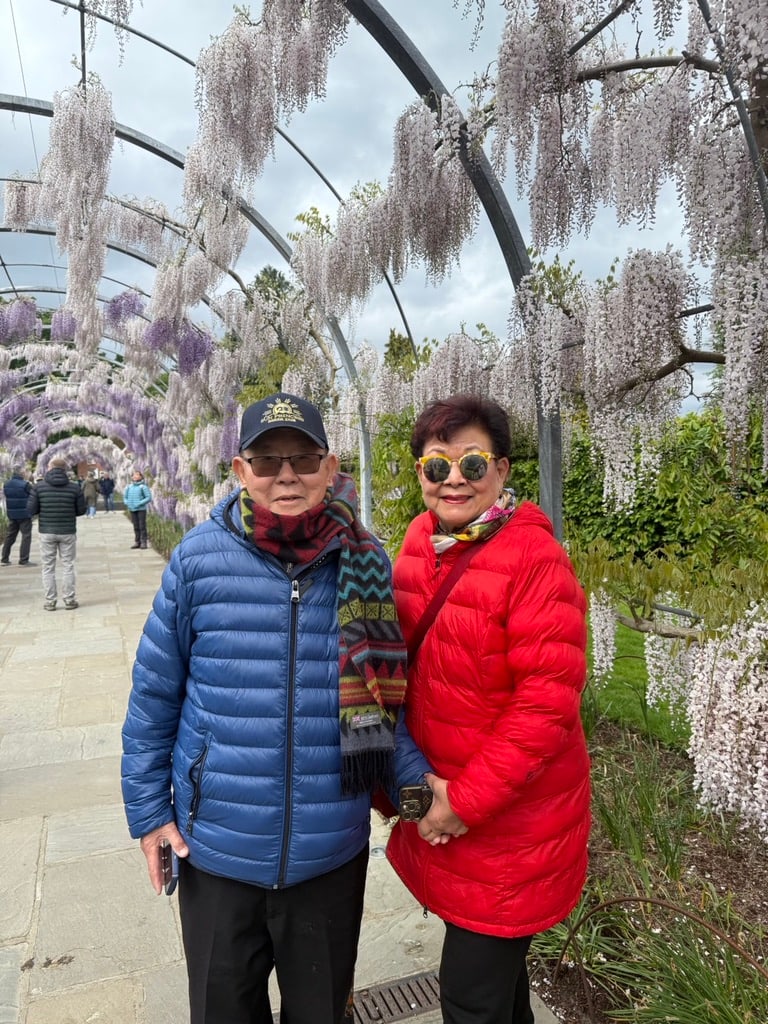 Under a wisteria tunnel